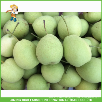 Großhandel frische Frucht beste Qualität Asien Birne Shandong Birne 15Kg Karton